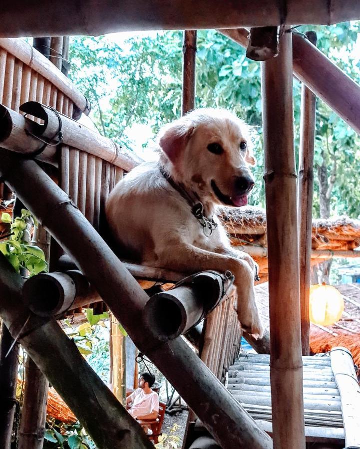 Happy Lemon Tree Lodge โซราฮา ภายนอก รูปภาพ